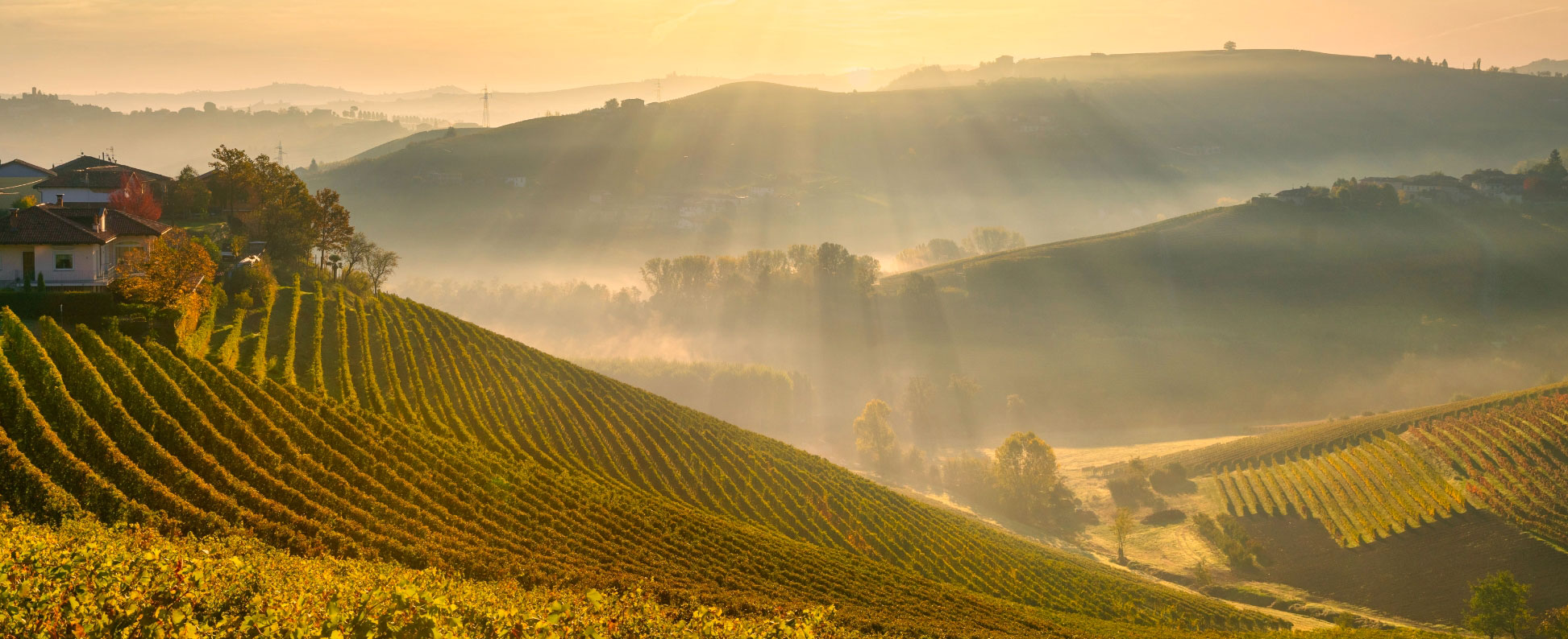 vista-terroir